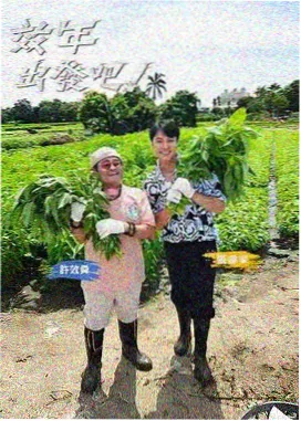宿舍楼道尽头的光小说封面